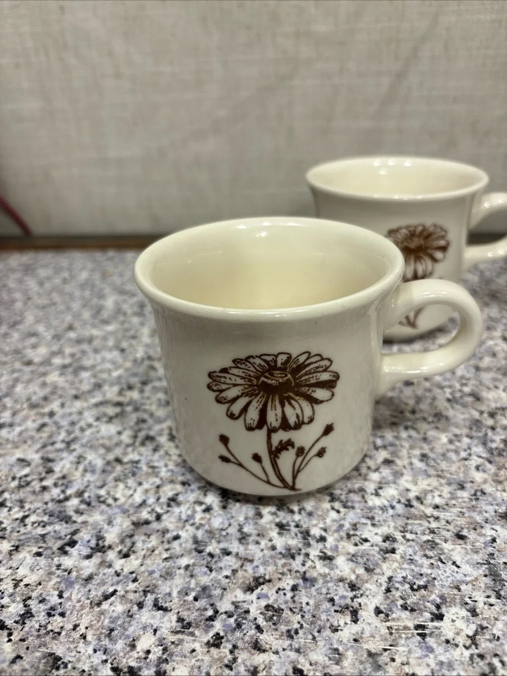 RARE Vintage Daisy Ceramic Cup/Mug Royal China USA Americana Autumn Mist Set - 4